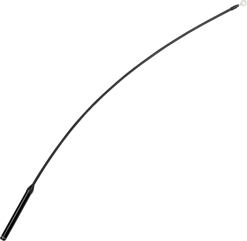 2026_06_19_1245813